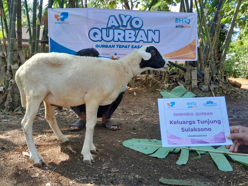 Dokumentasi Penyembelihan Qurban