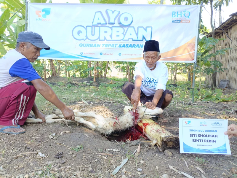 Dokumentasi Penyembelihan Qurban