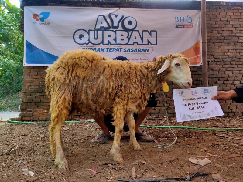 Dokumentasi Penyembelihan Qurban