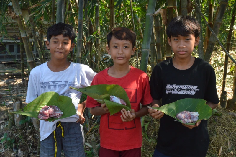 Dokumentasi Penyembelihan Qurban