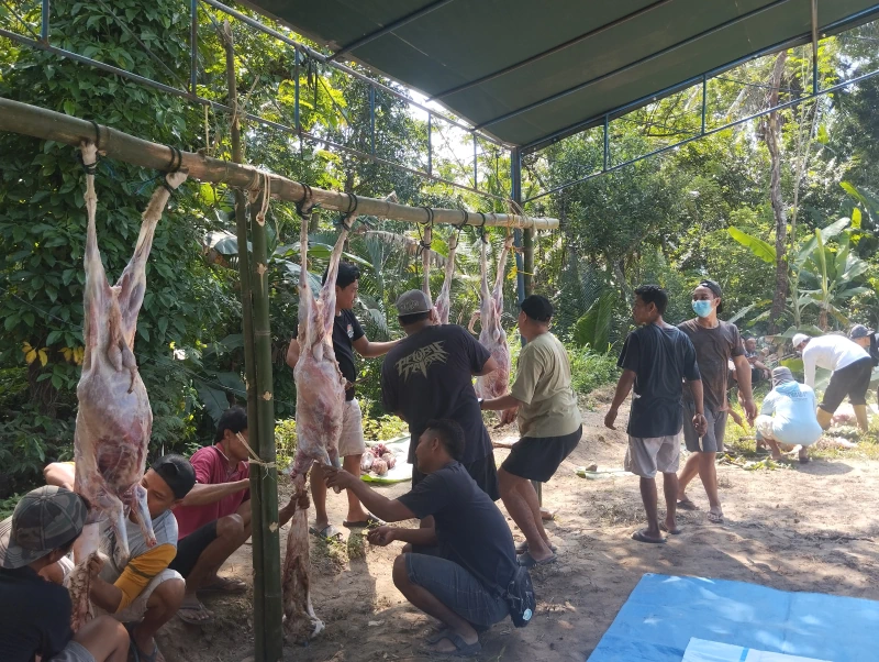 Dokumentasi Penyembelihan Qurban