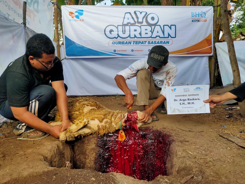 Dokumentasi Penyembelihan Qurban