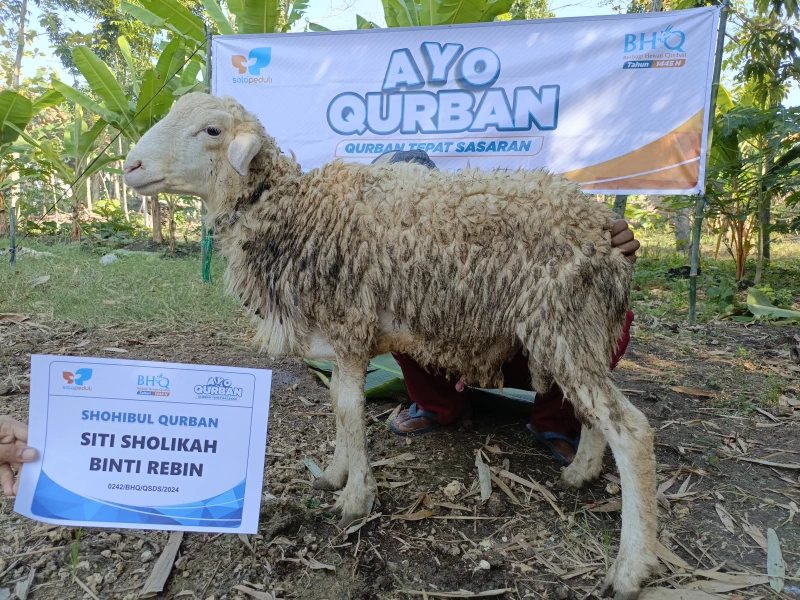 Dokumentasi Penyembelihan Qurban
