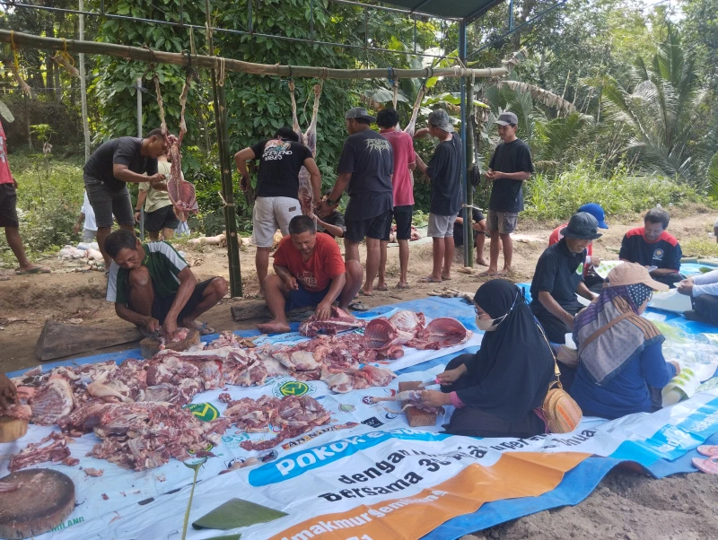 Dokumentasi Penyembelihan Qurban