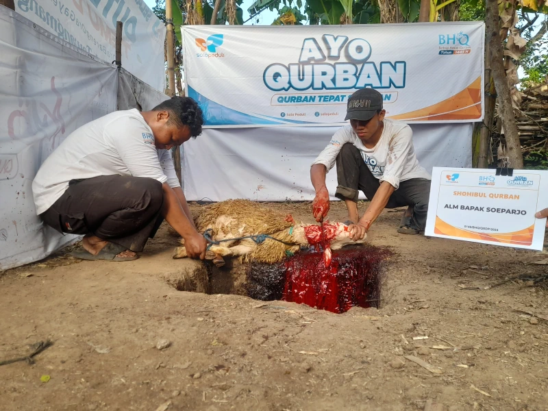Dokumentasi Penyembelihan Qurban