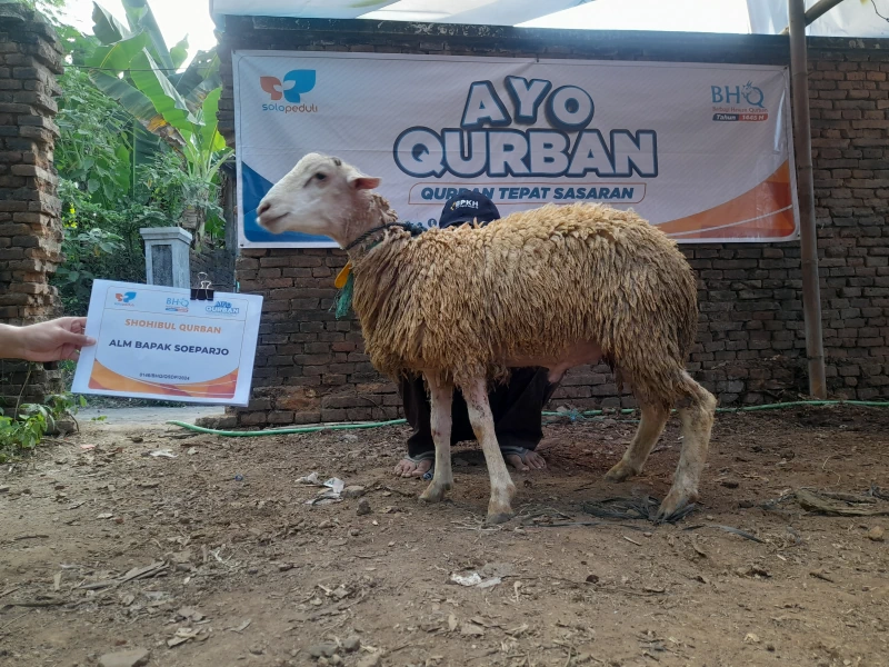 Dokumentasi Penyembelihan Qurban