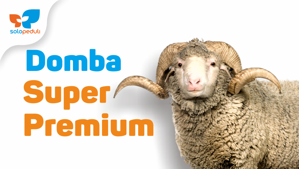 DOMBA SUPER PREMIUM